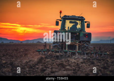 Farmer with tractor seeding crops at field on sunset Stock Photo