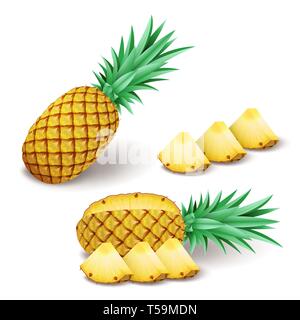 Bright realistic pineapple with slices, pieces isolated on white Stock Vector