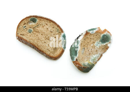 The picture of a mouldy bread. Rotten and uneatable. Isolated on white background.