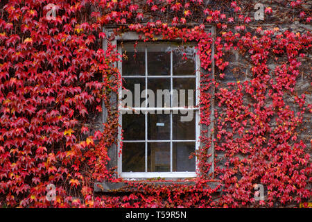 Trinity college window in Dublin, Ireland Stock Photo