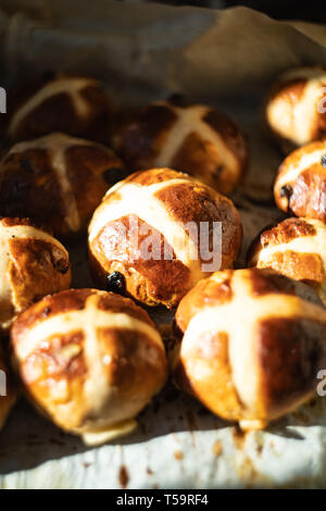 Home-made hot cross buns on a baking tray, being removed from the oven Stock Photo