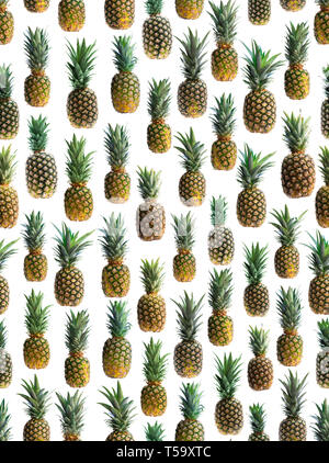 Seamless  pattern of various pineapples isolated on white Stock Photo