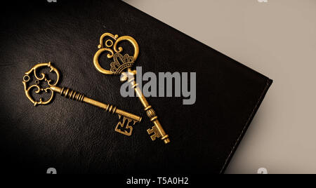 Two Old keys on the dark background of the skin Stock Photo