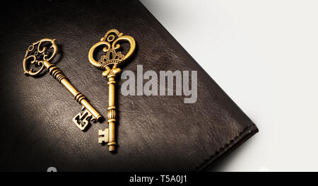 Two Old keys on the dark background of the skin Stock Photo