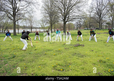 A group of under 25 cricket players warm up by fielding balls in  Baisley Pond Park in Jamaica, Queens, New York City. Stock Photo