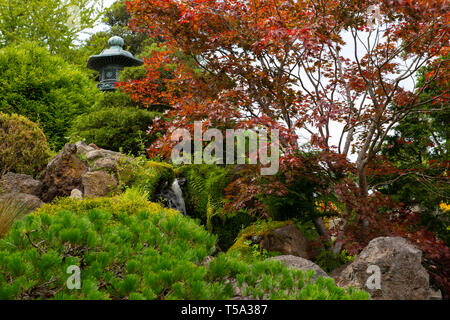 Colorful lush hillside with a stone lantern in the Japanese Tea garden located inside Golden Gate Park San Francisco California. Stock Photo