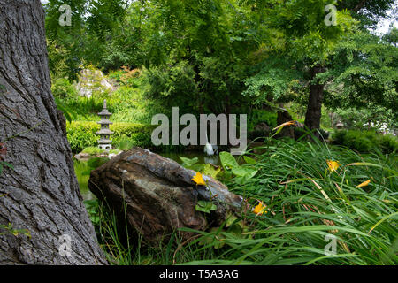 Japanise Tea Gardens located in Golden Gate Park, San Francisco California. Stock Photo