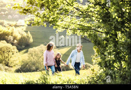 Senior couple with granddaughter walking outside in spring nature. Copy space. Stock Photo