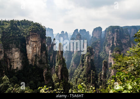 The panorama of the so called black forest in Yuanjiajie area in the Wulingyuan National Park, Zhangjiajie, Hunan, China. Wulingyuan National park was Stock Photo