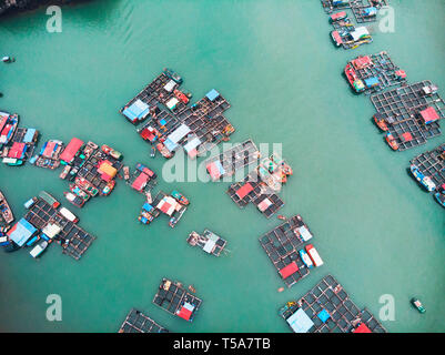 Aerial view of floating villages around Cat Ba islands. Cat Ba is the largest of the 366 islands, which make up the southeastern edge of Ha Long Bay i Stock Photo