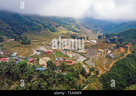 Beautiful of growing golden paddy rice field on terraced with rice terrace on hill in background at Tavan local village on harvest season, Sapa, Laoca Stock Photo