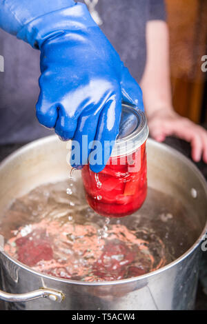 Woman wearing rubber gloves removing canning jars of pickled beets from a boiling water bath. (MR) Stock Photo