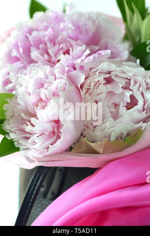 Light pink peony bouquet wrapped in tissue paper in tote bag with copy space Stock Photo