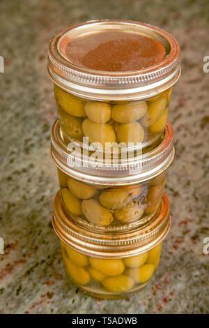 Three jars of home canned olives in the kitchen in Issaquah, WA Stock Photo