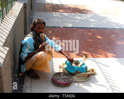 AMRITSAR, INDIA, DEC-7, 2015: Snake charmer playing musical instrument on the street whilst one snake emerge from a basket on the street. Stock Photo