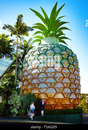 The Big Pineapple sculpture is a major tourist attraction at Nambour on the Sunshine Coast in Queensland Stock Photo