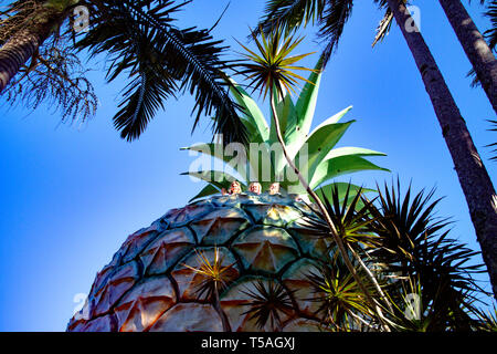 Tourists look down from the top of the Big Pineapple sculpture which is a major tourist attraction at Nambour on the Queensland Sunshine Coast in Aust Stock Photo