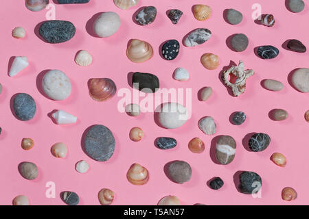 composition of stones and seashells isolated on the pink background, beauty of the sea world. top view Stock Photo