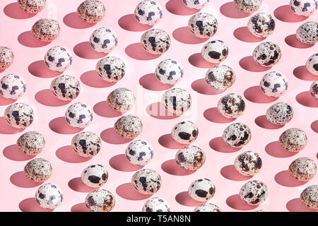 collection of little quail eggs isolated on pink background. top view photo. food, health care, diet concepts, trade, sale. Montessory school Stock Photo