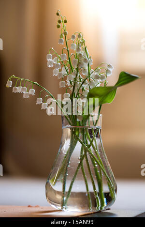 Withe Trush White Trush Flower (Convallaria majalis) o Lily Flower Stock Photo - Alamy