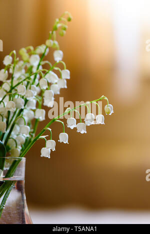 White Trush Flower (Convallaria majalis) o Lily Flower Stock Photo