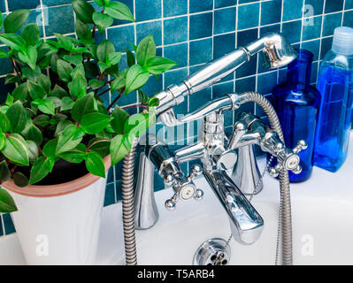 Close-up of chrome-plated mixer taps and hand-held shower head in a blue-green tiled bathroom with a foliage plant and blue bottles Stock Photo