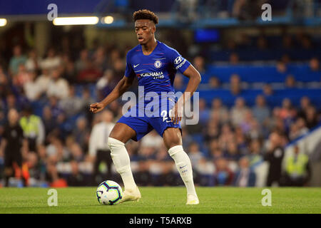 London, UK. 22nd Apr, 2019. Callum Hudson-Odoi of Chelsea in action. Premier League match, Chelsea v Burnley at Stamford Bridge in London on Monday 22nd April 2019. this image may only be used for Editorial purposes. Editorial use only, license required for commercial use. No use in betting, games or a single club/league/player publications. pic by Steffan Bowen/ Credit: Andrew Orchard sports photography/Alamy Live News Stock Photo