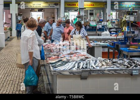 Fish alley on Mercado do Livramento indoor market in Setubal near Lisbon, Portugal Stock Photo