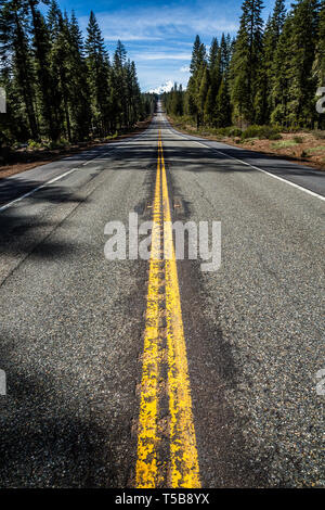 Tall evergreens surround the highway as it leads north toward Mount Shasta in California. Stock Photo