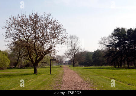 The Woodland Walk, Meon Vale, Long Marston, Warwickshire, England, UK Stock Photo
