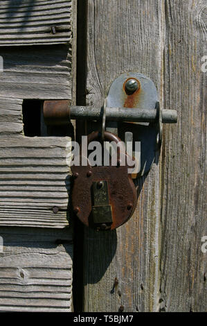 Close up of a bolt and padlock on the weathered wood of an old shed, UK Stock Photo
