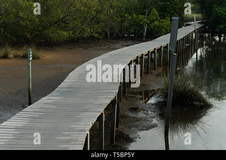 Durban, KwaZulu-Natal, South Africa, landscape, mangroves in Umgeni river estuary nature reserve, path, safari, backgrounds Stock Photo