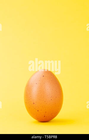 brown egg upright on colored yellow background full frame Stock Photo