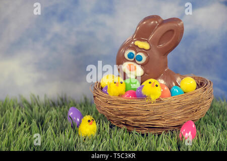 Chocolate Easter bunny and yellow chicks with colorful eggs in nest on grass Stock Photo