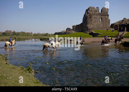 Horse crossing the river Ewenny, Ogmore castle, Vale of Glamorgan South Wales Stock Photo