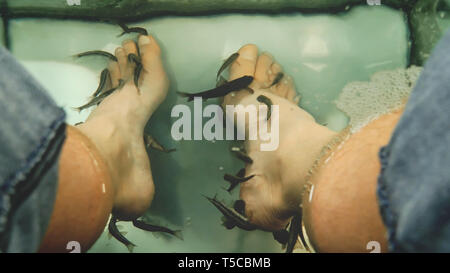 Fish Spa Pedicure, Rufa Garra Nibble Skin Off Man's Feet Stock Photo