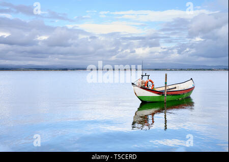 Green boat anchored near the kake coast under yhe cloudy sky at Torreira, Portugal Stock Photo