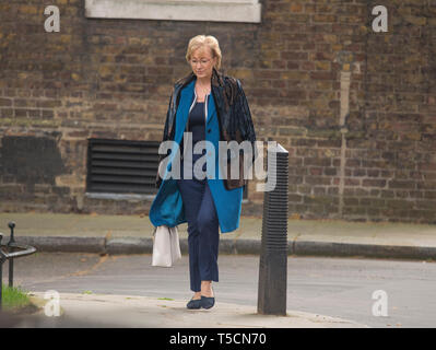 Downing Street, London, UK. 23rd April 2019. Andrea Leadsom, Leader of the Commons in Downing Street for weekly cabinet meeting. Credit: Malcolm Park/Alamy Live News. Stock Photo