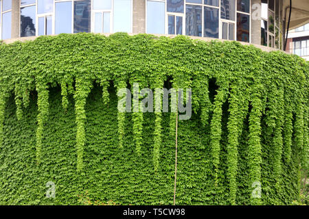 Chongqin, Chongqin, China. 24th Apr, 2019. Chongqing, CHINA-A hot pot shaped building can be seen in southwest ChinaÃ¢â‚¬â„¢s Chongqing. Credit: SIPA Asia/ZUMA Wire/Alamy Live News Stock Photo