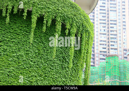 Chongqin, Chongqin, China. 24th Apr, 2019. Chongqing, CHINA-A hot pot shaped building can be seen in southwest ChinaÃ¢â‚¬â„¢s Chongqing. Credit: SIPA Asia/ZUMA Wire/Alamy Live News Stock Photo