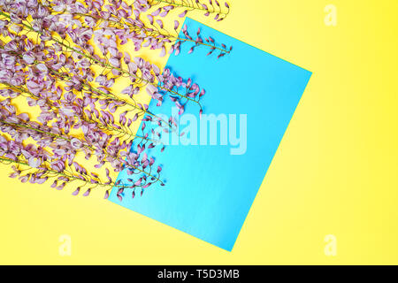 Beautiful purple pink wisteria flower branch with blossoms buds and blue paper card note on yellow background. Stock Photo