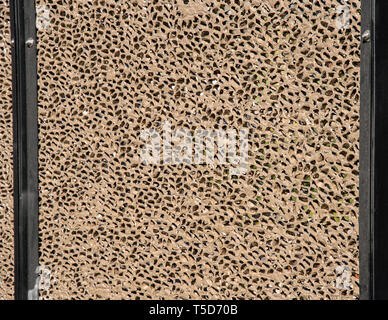 Background as hole pattern with small brown holes Stock Photo