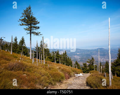 Hiking mountain path in Karkonosze National Park in the spring, Poland. Stock Photo