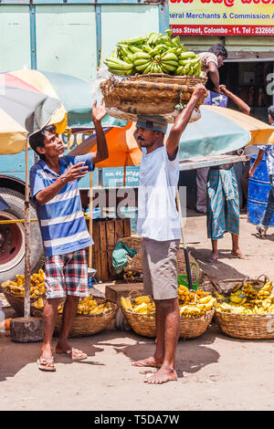 Colombo, Sri Lanka - March 16th 2011: Man carrying bananas in a basket on his head in the Pettah district. This is the trading and market area of the  Stock Photo