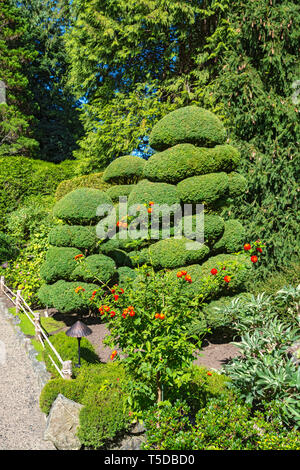 Canada, Brentwood Bay, Butchart Gardens, Japanese Garden Stock Photo