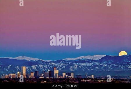 The worm moon sets behind the Rocky Mountains above the Denver skyline. Stock Photo