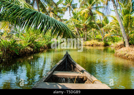 Boat trip through the backwater canals of Munroe Island in Kollam in India Stock Photo