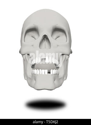 Human skull without a few teeth Stock Photo