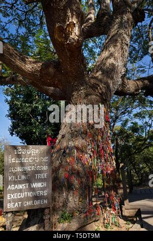 Killing Tree with bracelets in memory of killed children, Killing ...