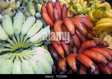 Several different kinds of banana for sale at Rusty’s Markets, Cairns, Queensland, Australia Stock Photo